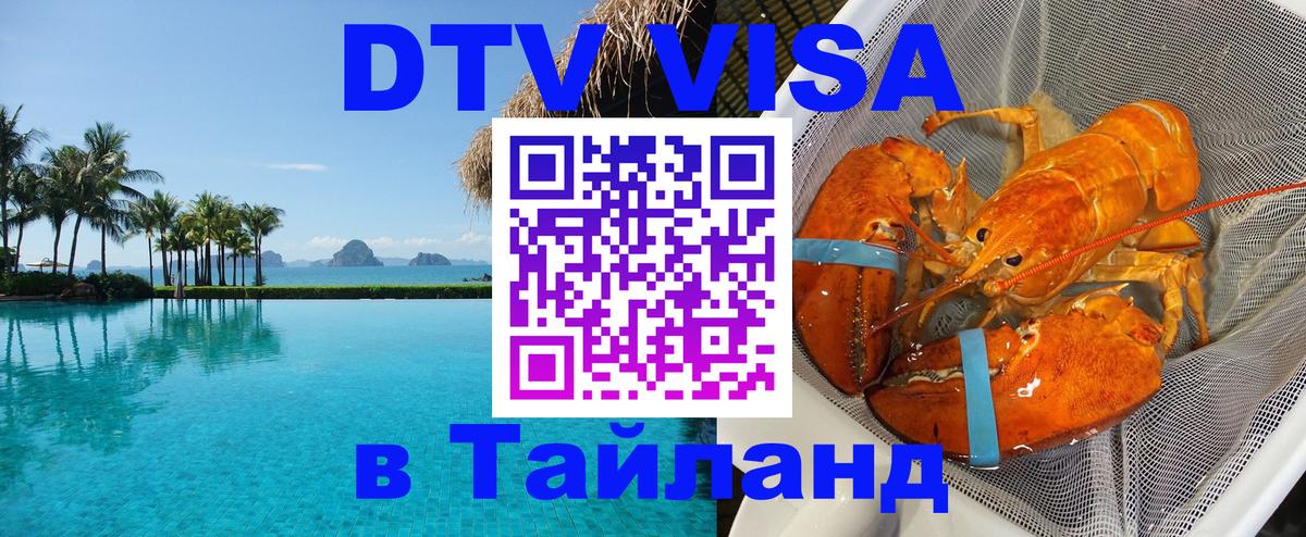 Оформление DTV визы под ключ: стоимость и тарифы, только загранпаспорт - Химки 